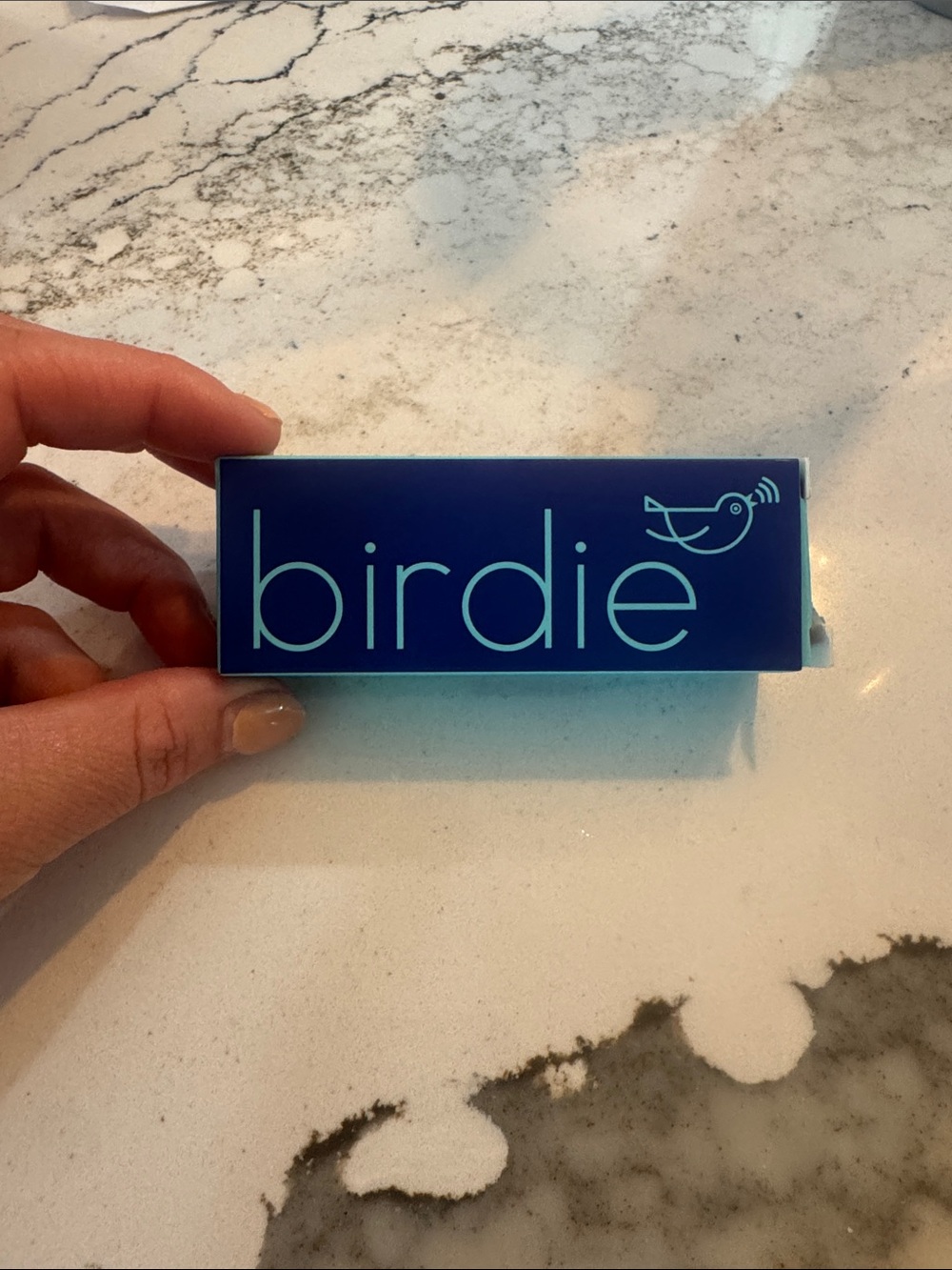Birdie keychain alarm
